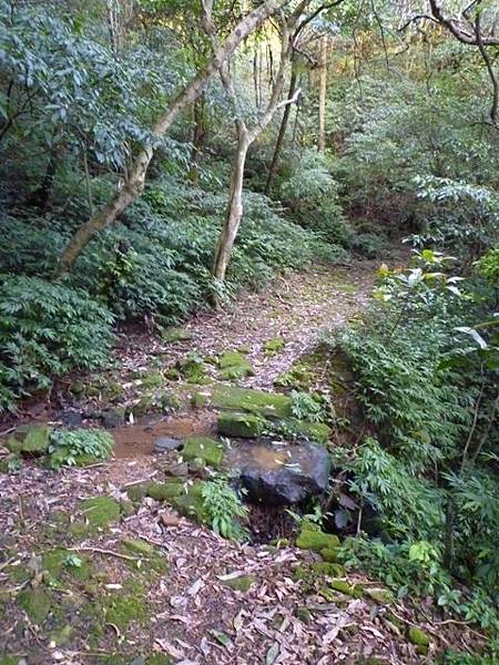 福安山.四分尾山.九層坪山.大尖山賞櫻 098