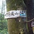 福安山.四分尾山.九層坪山.大尖山賞櫻 100