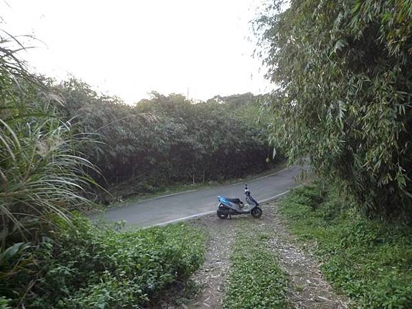 福安山.四分尾山.九層坪山.大尖山賞櫻 111