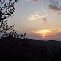 福安山.四分尾山.九層坪山.大尖山賞櫻 112