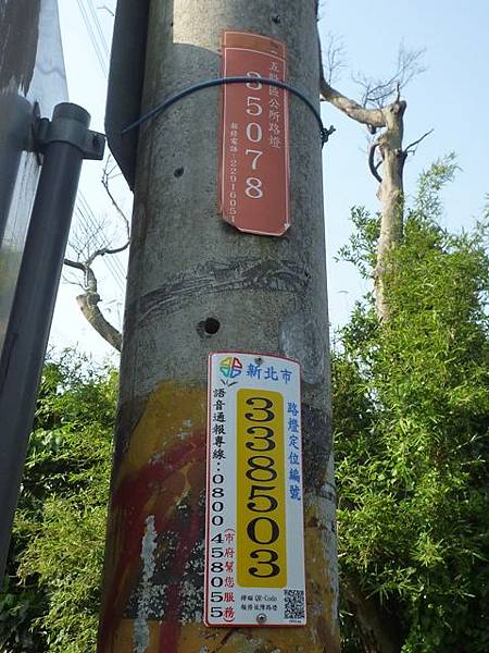 牛屎坑山(御史坑山).牛港稜山 009