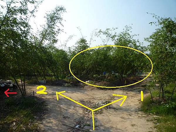 牛屎坑山(御史坑山).牛港稜山 018