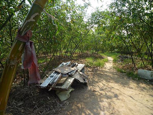 牛屎坑山(御史坑山).牛港稜山 021