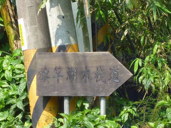 牛屎坑山(御史坑山).牛港稜山 059