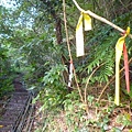 瑞竹步道.大坑埔山.大坑埔山東峰.粗坑口尖.龍門山.碇內炮台遺址 060