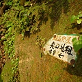 瑞竹步道.大坑埔山.大坑埔山東峰.粗坑口尖.龍門山.碇內炮台遺址 074