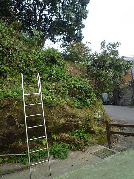 瑞竹步道.大坑埔山.大坑埔山東峰.粗坑口尖.龍門山.碇內炮台遺址 076