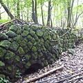 瑞竹步道.大坑埔山.大坑埔山東峰.粗坑口尖.龍門山.碇內炮台遺址 099