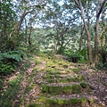 瑞竹步道.大坑埔山.大坑埔山東峰.粗坑口尖.龍門山.碇內炮台遺址 102