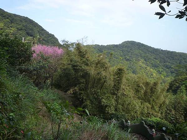 瑞竹步道.大坑埔山.大坑埔山東峰.粗坑口尖.龍門山.碇內炮台遺址 105