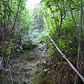 瑞竹步道.大坑埔山.大坑埔山東峰.粗坑口尖.龍門山.碇內炮台遺址 116