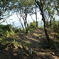 瑞竹步道.大坑埔山.大坑埔山東峰.粗坑口尖.龍門山.碇內炮台遺址 126