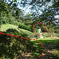瑞竹步道.大坑埔山.大坑埔山東峰.粗坑口尖.龍門山.碇內炮台遺址 140