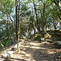 瑞竹步道.大坑埔山.大坑埔山東峰.粗坑口尖.龍門山.碇內炮台遺址 149