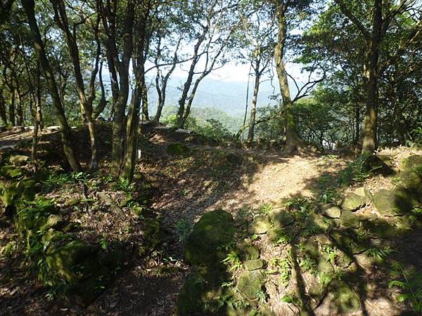 瑞竹步道.大坑埔山.大坑埔山東峰.粗坑口尖.龍門山.碇內炮台遺址 156