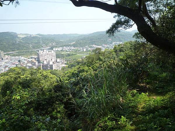 瑞竹步道.大坑埔山.大坑埔山東峰.粗坑口尖.龍門山.碇內炮台遺址 169