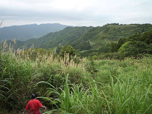 和尚髻山.源茂山 149