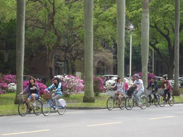 台大賞杜鵑.芳蘭山 053