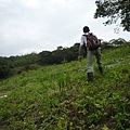 台大賞杜鵑.芳蘭山 078