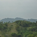 台大賞杜鵑.芳蘭山 088