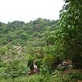 台大賞杜鵑.芳蘭山 104