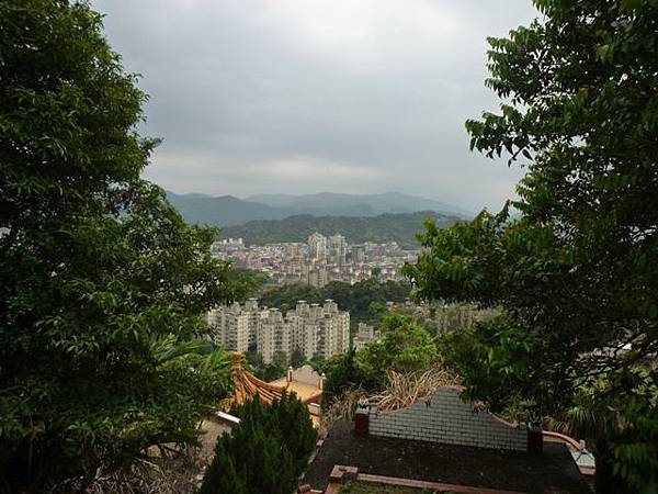 台大賞杜鵑.芳蘭山 114