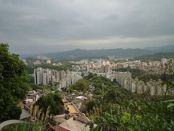 台大賞杜鵑.芳蘭山 118