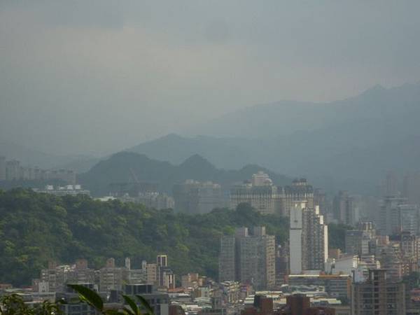 台大賞杜鵑.芳蘭山 120