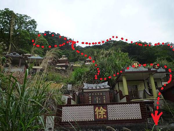 台大賞杜鵑.芳蘭山 138