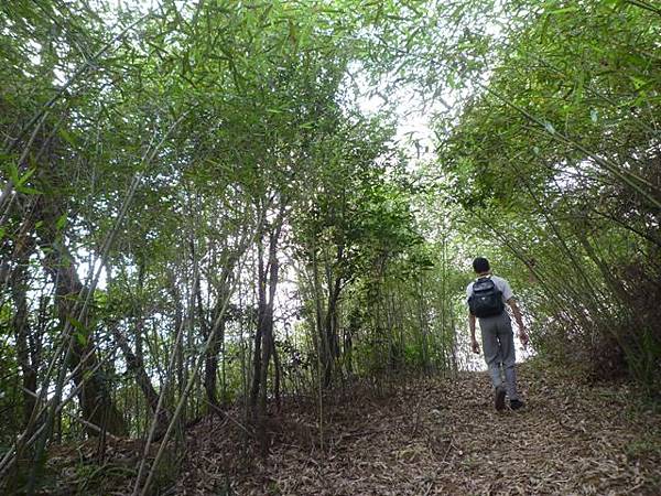 鄉長山.鄉長厝山 082