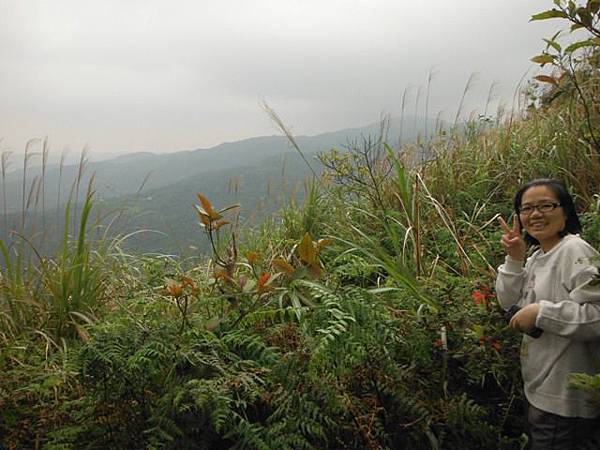 四分尾山.耳空龜山.汐止展望峰 083