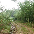五股住都局010導線點未遇 035