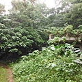 五股住都局010導線點未遇 036