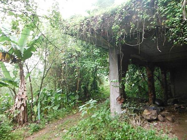 五股住都局010導線點未遇 037