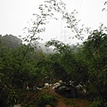 五股住都局010導線點未遇 038