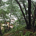 五股住都局010導線點未遇 061