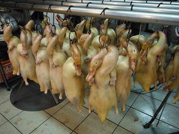 五股住都局010導線點未遇 075