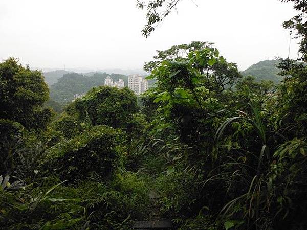 頂寮山.暖東苗圃.暖暖吊橋 083