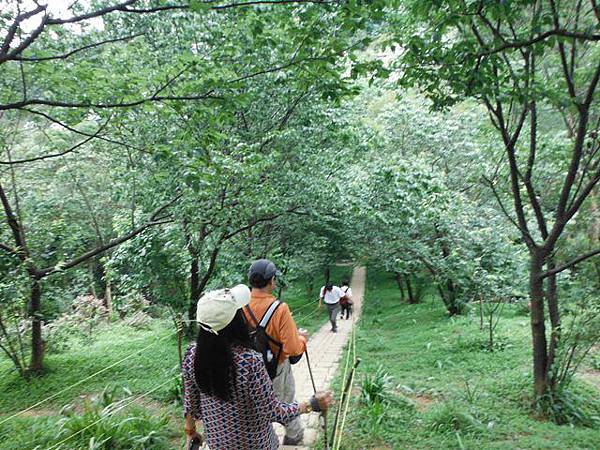 山中湖.太極嶺.五城山.二子坪.面天山.向天山.向天池 029