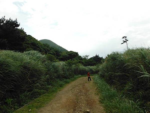 山中湖.太極嶺.五城山.二子坪.面天山.向天山.向天池 058