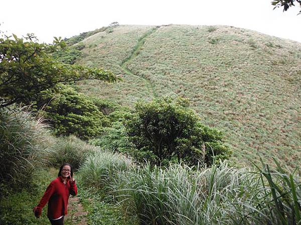 山中湖.太極嶺.五城山.二子坪.面天山.向天山.向天池 129
