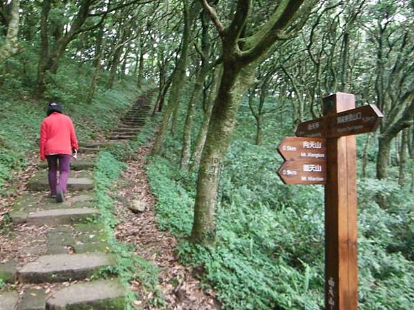 山中湖.太極嶺.五城山.二子坪.面天山.向天山.向天池 147