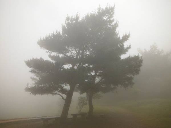 山中湖.太極嶺.五城山.二子坪.面天山.向天山.向天池 164