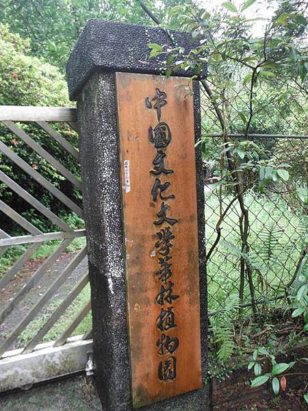 東四崁水山.四崁水山.文大華林植物園.高麗坑山.新高麗坑山 017