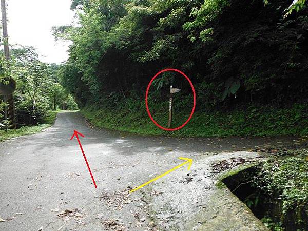 東四崁水山.四崁水山.文大華林植物園.高麗坑山.新高麗坑山 020