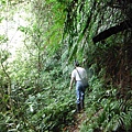 東四崁水山.四崁水山.文大華林植物園.高麗坑山.新高麗坑山 037