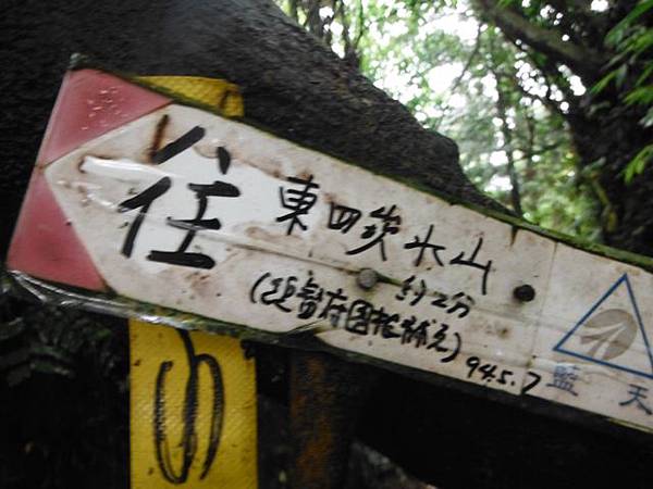 東四崁水山.四崁水山.文大華林植物園.高麗坑山.新高麗坑山 039