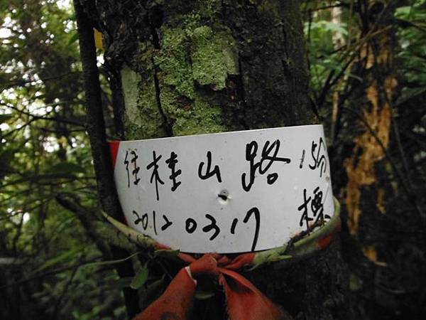 東四崁水山.四崁水山.文大華林植物園.高麗坑山.新高麗坑山 067