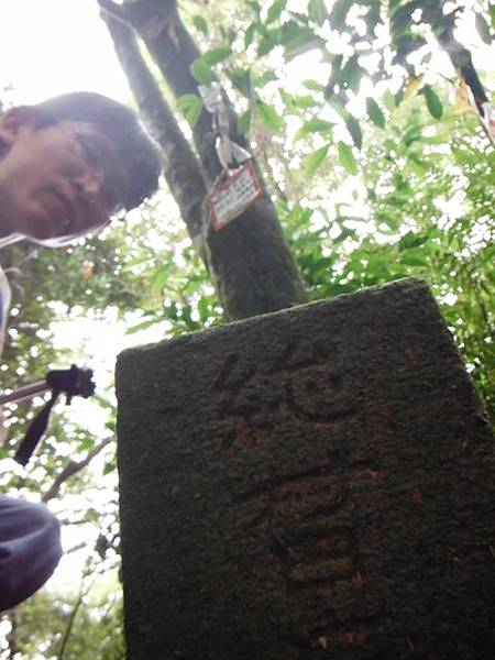 東四崁水山.四崁水山.文大華林植物園.高麗坑山.新高麗坑山 075