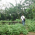 東四崁水山.四崁水山.文大華林植物園.高麗坑山.新高麗坑山 088